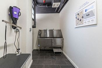 Pet washing station